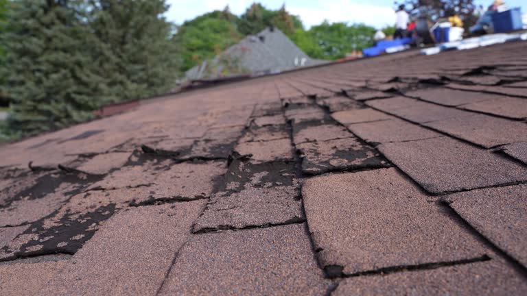 Best Emergency Roof Repair Services  in Wells, MN